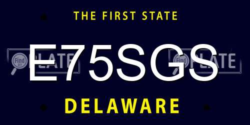 E75SGS Delaware License Plate