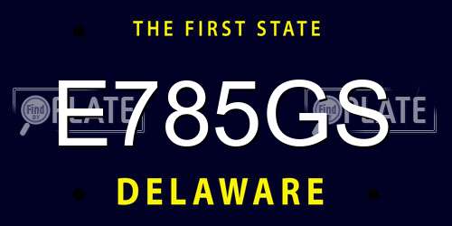 E785GS Delaware License Plate