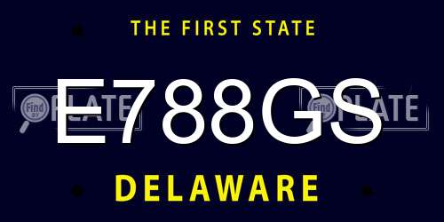 E788GS Delaware License Plate