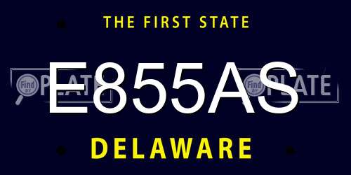 E855AS Delaware License Plate