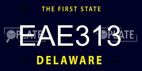 EAE313 Delaware License Plate