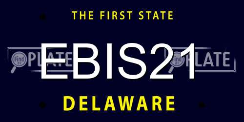 EBIS21 Delaware License Plate