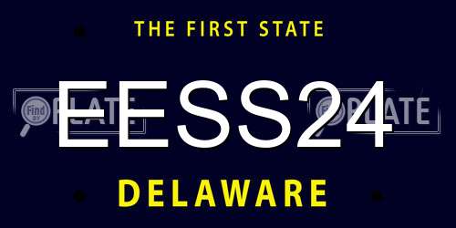 EESS24 Delaware License Plate