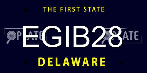 EGIB28 Delaware License Plate