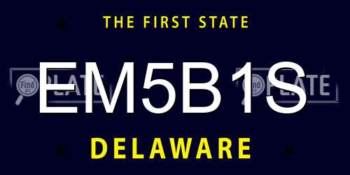 EM5B1S Delaware License Plate