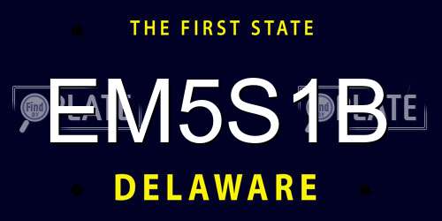 EM5S1B Delaware License Plate
