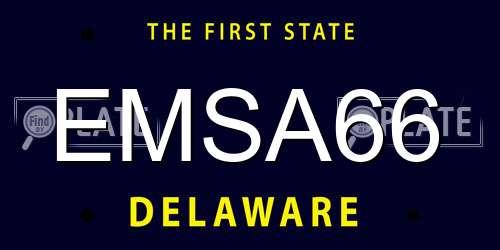 EMSA66 Delaware License Plate
