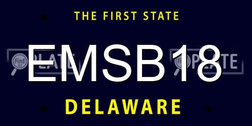EMSB18 Delaware License Plate