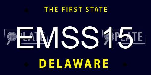 EMSS15 Delaware License Plate