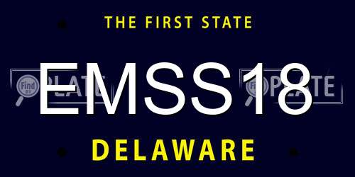 EMSS18 Delaware License Plate