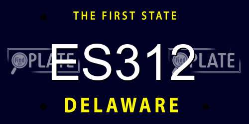 ES312 Delaware License Plate