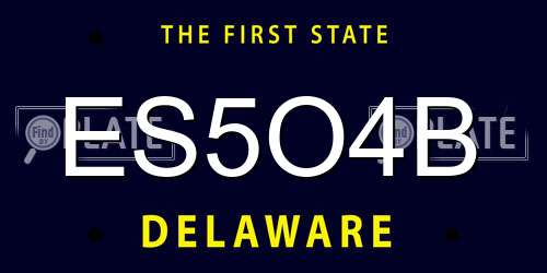 ES5O4B Delaware License Plate