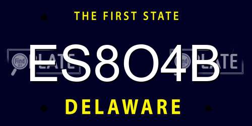 ES8O4B Delaware License Plate