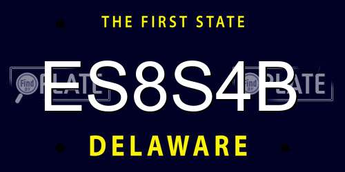 ES8S4B Delaware License Plate