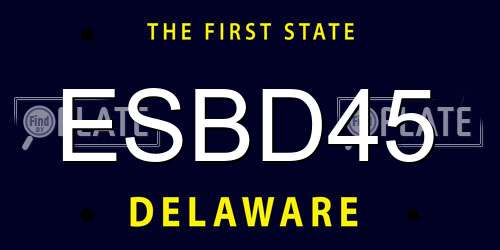 ESBD45 Delaware License Plate