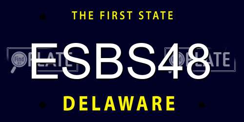 ESBS48 Delaware License Plate