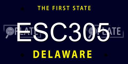 ESC305 Delaware License Plate