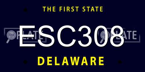 ESC308 Delaware License Plate