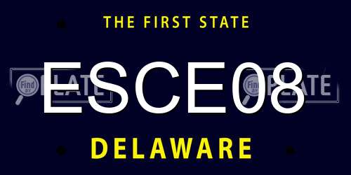 ESCE08 Delaware License Plate