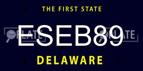 ESEB89 Delaware License Plate