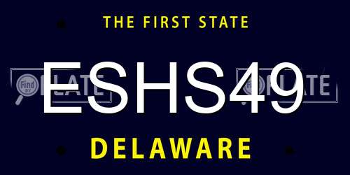 ESHS49 Delaware License Plate