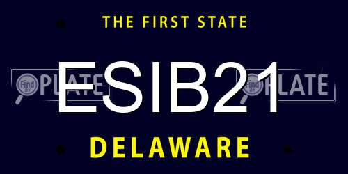 ESIB21 Delaware License Plate