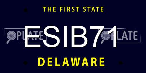 ESIB71 Delaware License Plate