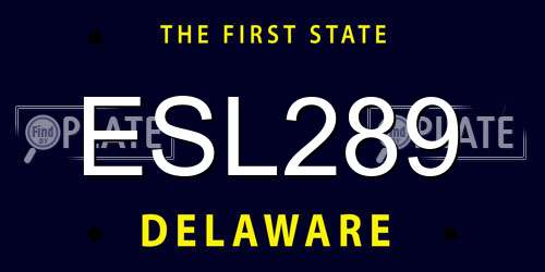 ESL289 Delaware License Plate