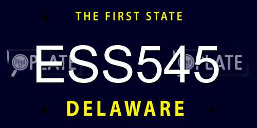 ESS545 Delaware License Plate