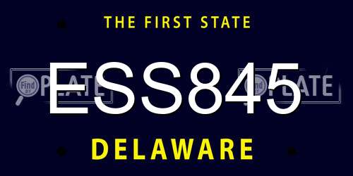 ESS845 Delaware License Plate
