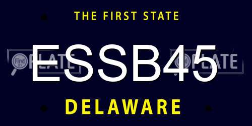 ESSB45 Delaware License Plate