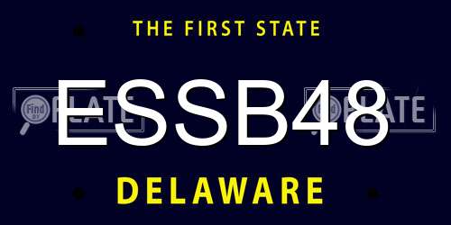 ESSB48 Delaware License Plate