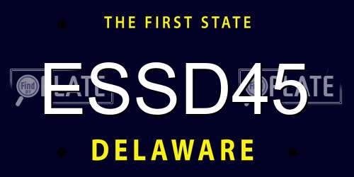 ESSD45 Delaware License Plate
