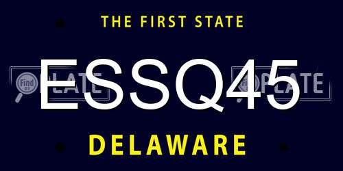 ESSQ45 Delaware License Plate