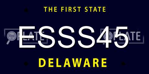ESSS45 Delaware License Plate