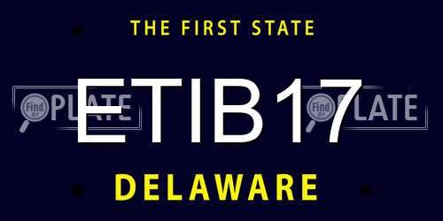 ETIB17 Delaware License Plate