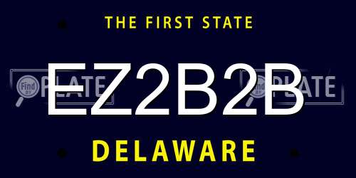 EZ2B2B Delaware License Plate