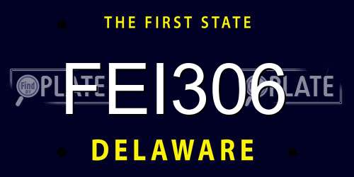 FEI306 Delaware License Plate