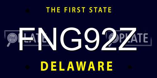 FNG92Z Delaware License Plate