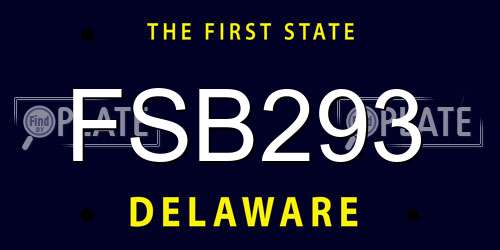 FSB293 Delaware License Plate