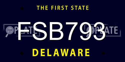 FSB793 Delaware License Plate