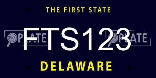 FTS123 Delaware License Plate