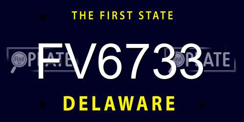 FV6733 Delaware License Plate