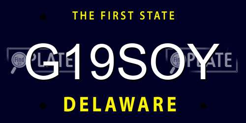 G19SOY Delaware License Plate