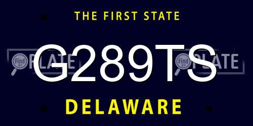 G289TS Delaware License Plate