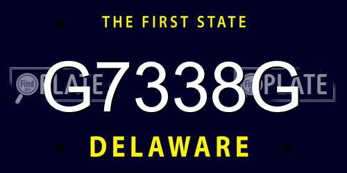 G7338G Delaware License Plate