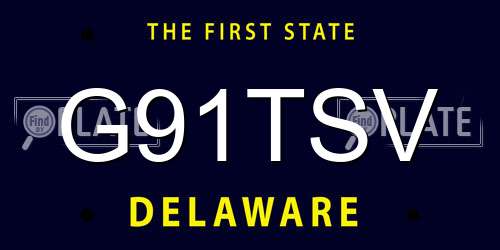 G91TSV Delaware License Plate