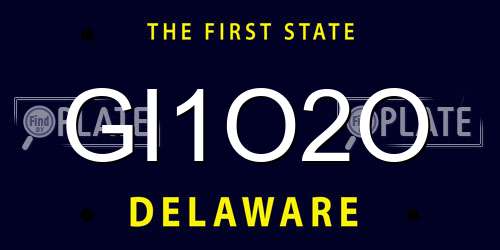 GI1O2O Delaware License Plate