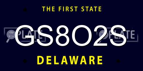 GS8O2S Delaware License Plate