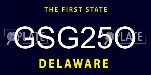 GSG25O Delaware License Plate